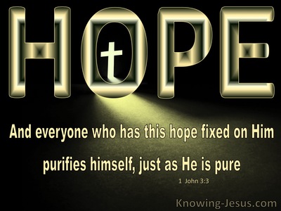 1 John 3:3 Hope Fixed on Him Purifies As He Is Pure (yellow)